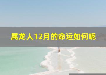 属龙人12月的命运如何呢