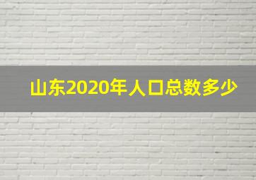 山东2020年人口总数多少