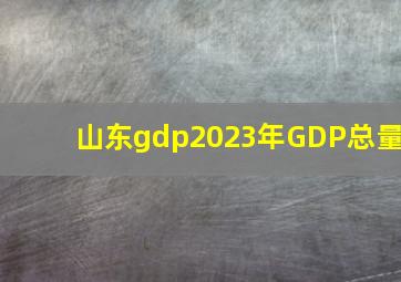 山东gdp2023年GDP总量