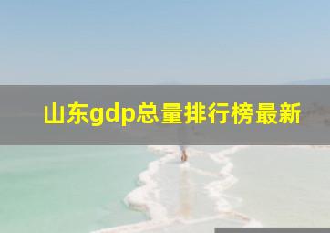 山东gdp总量排行榜最新