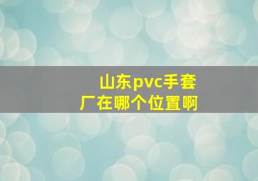 山东pvc手套厂在哪个位置啊