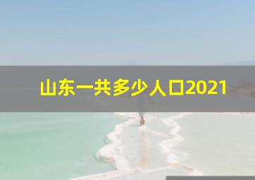 山东一共多少人口2021