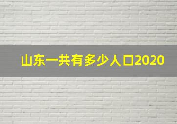 山东一共有多少人口2020