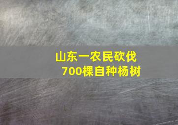 山东一农民砍伐700棵自种杨树