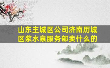 山东主城区公司济南历城区浆水泉服务部卖什么的