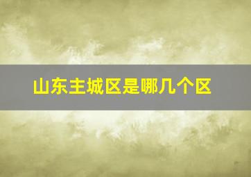 山东主城区是哪几个区