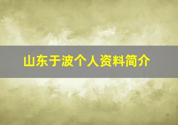 山东于波个人资料简介