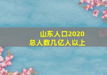 山东人口2020总人数几亿人以上