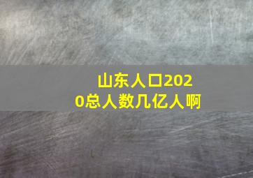 山东人口2020总人数几亿人啊