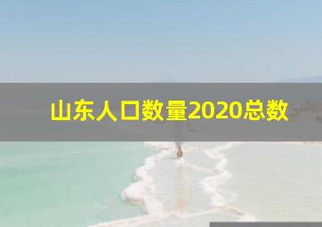 山东人口数量2020总数