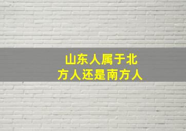 山东人属于北方人还是南方人