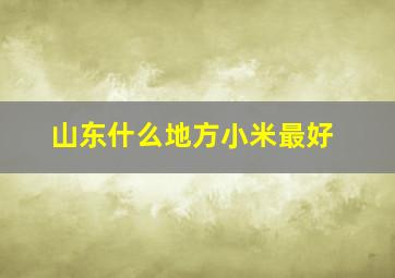 山东什么地方小米最好