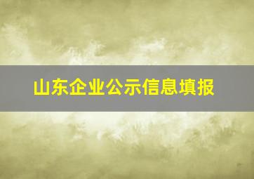 山东企业公示信息填报