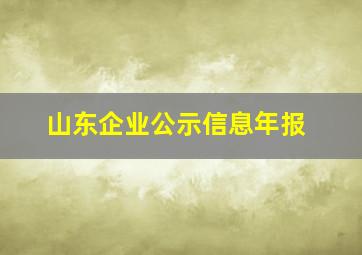 山东企业公示信息年报