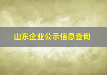 山东企业公示信息查询