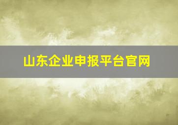 山东企业申报平台官网