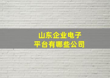 山东企业电子平台有哪些公司