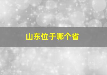 山东位于哪个省