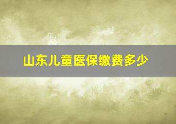 山东儿童医保缴费多少