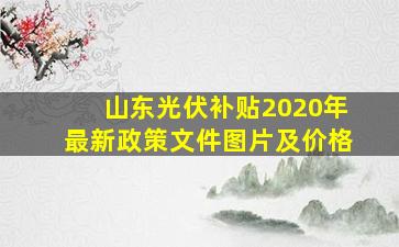 山东光伏补贴2020年最新政策文件图片及价格