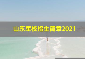 山东军校招生简章2021