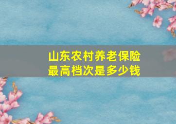 山东农村养老保险最高档次是多少钱