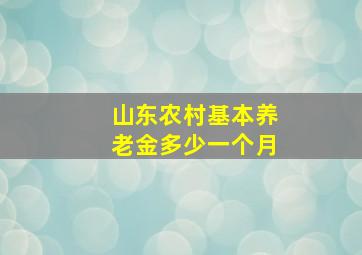 山东农村基本养老金多少一个月