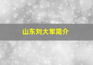 山东刘大军简介