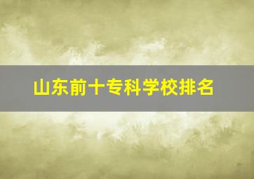 山东前十专科学校排名