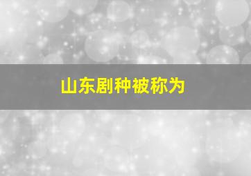 山东剧种被称为