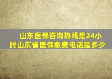 山东医保咨询热线是24小时山东省医保缴费电话是多少