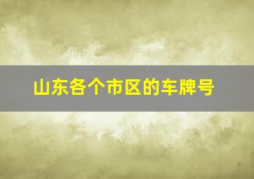 山东各个市区的车牌号