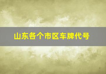 山东各个市区车牌代号