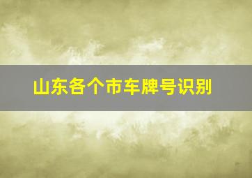 山东各个市车牌号识别