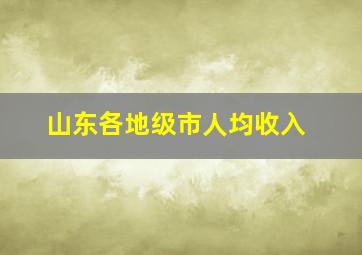 山东各地级市人均收入