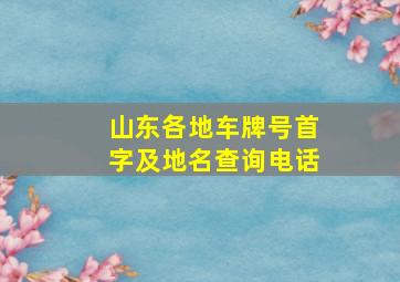 山东各地车牌号首字及地名查询电话