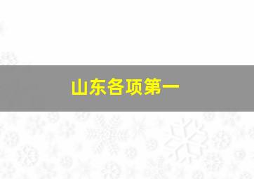 山东各项第一