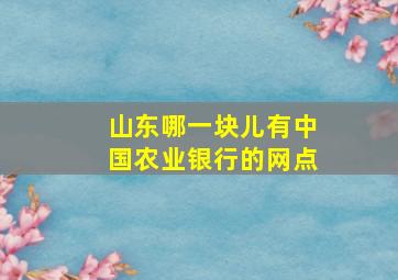 山东哪一块儿有中国农业银行的网点