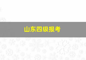 山东四级报考