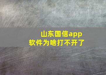 山东国信app软件为啥打不开了