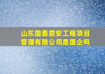 山东国泰君安工程项目管理有限公司是国企吗