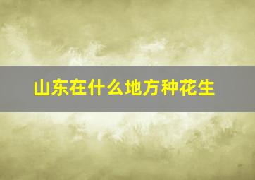 山东在什么地方种花生