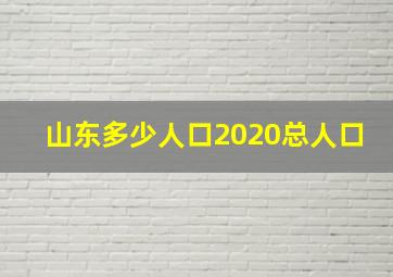 山东多少人口2020总人口