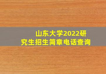 山东大学2022研究生招生简章电话查询