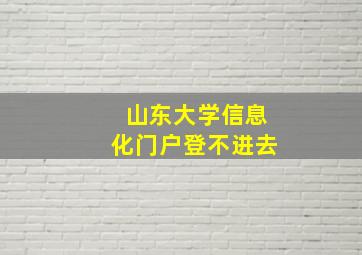 山东大学信息化门户登不进去