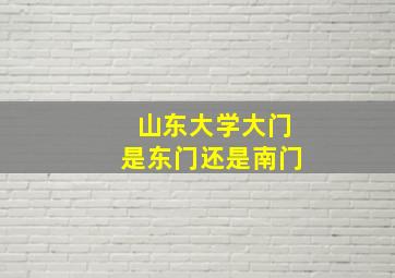 山东大学大门是东门还是南门