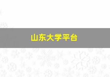 山东大学平台