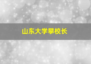 山东大学攀校长