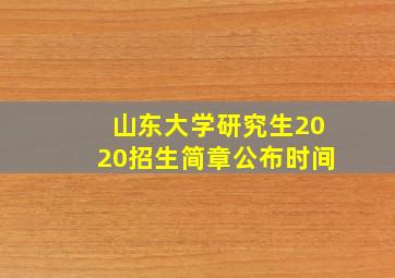 山东大学研究生2020招生简章公布时间