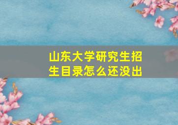 山东大学研究生招生目录怎么还没出